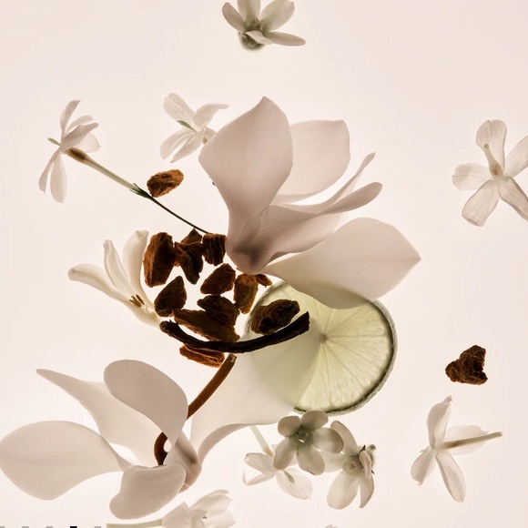 Phlur Missing Person Eau de Parfum Mini 7ml BRAND NEW/NO BOX - Picture 3 of 5